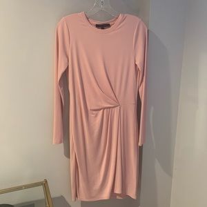 BCBG Light Pink Long Sleeve Ruched Dress